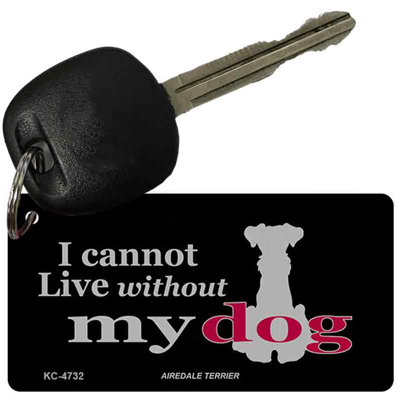 KC-4732 3 x 1.5 in. Airedale Terrier Novelty Rectangle Metal Key Chain