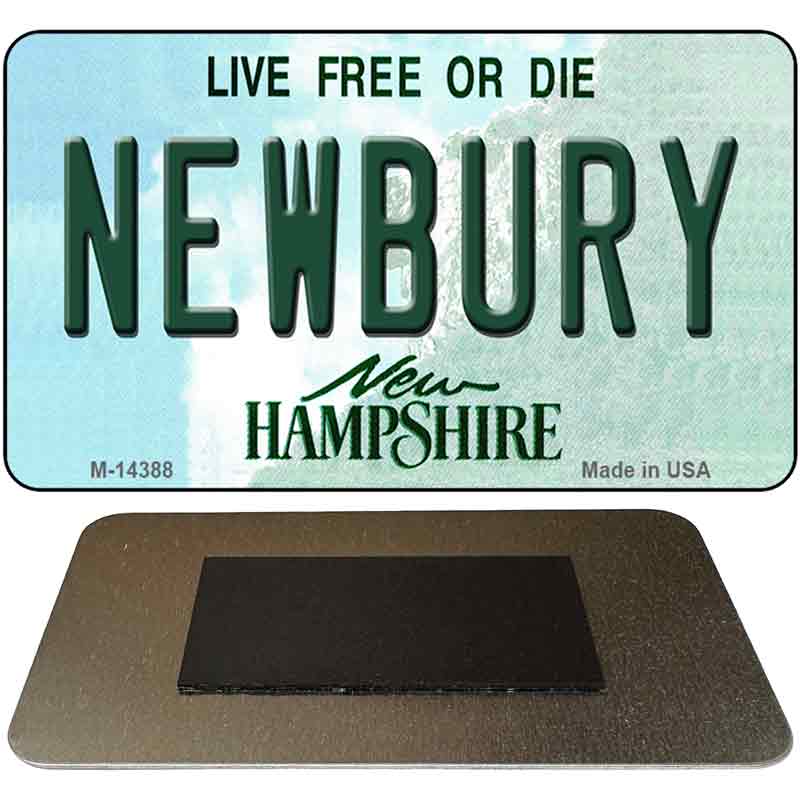 M-14388 3.5 x 2 in. bury Hampshire Novelty Rectangle Metal Magnet
