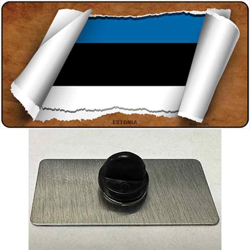 PIN-LP-9173 1.5 x 0.75 in. Estonia Flag Scroll Novelty Rectangle Metal Hat Pin