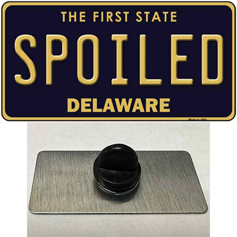PIN-LP-6739 1.5 x 0.75 in. Spoiled Delaware Novelty Rectangle Metal Hat Pin