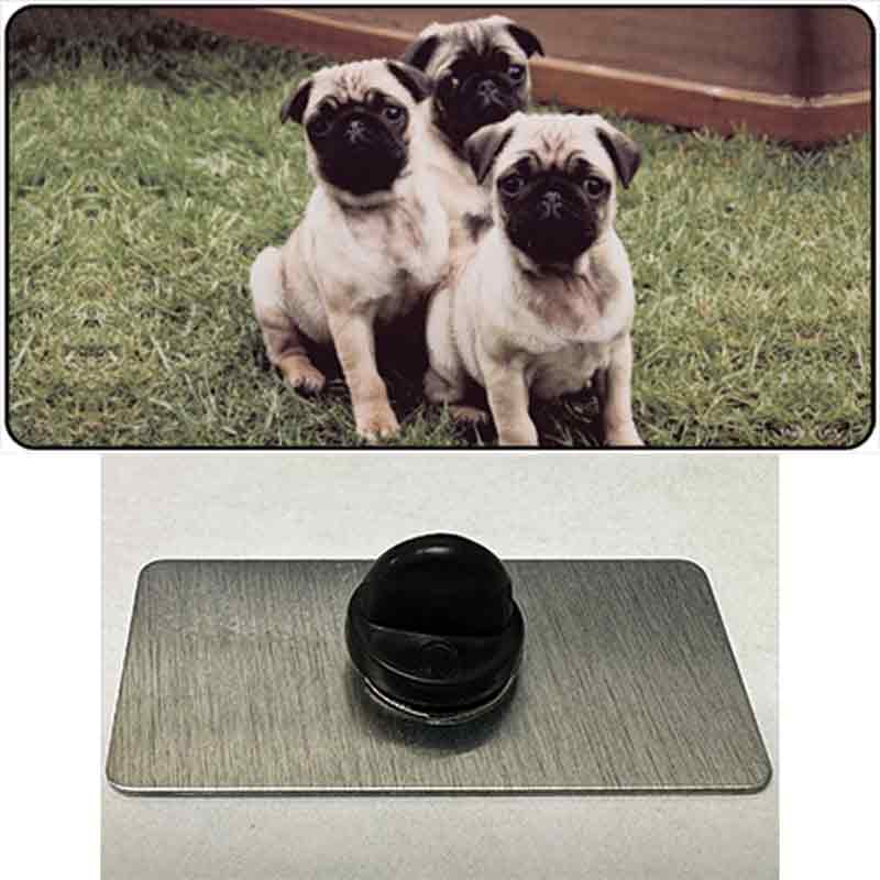 PIN-LP-2177 1.5 x 0.75 in. Pug Dog Novelty Rectangle Metal Hat Pin