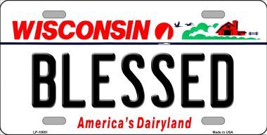 LP-10651 Blessed Wisconsin Background Metal Novelty License Plate
