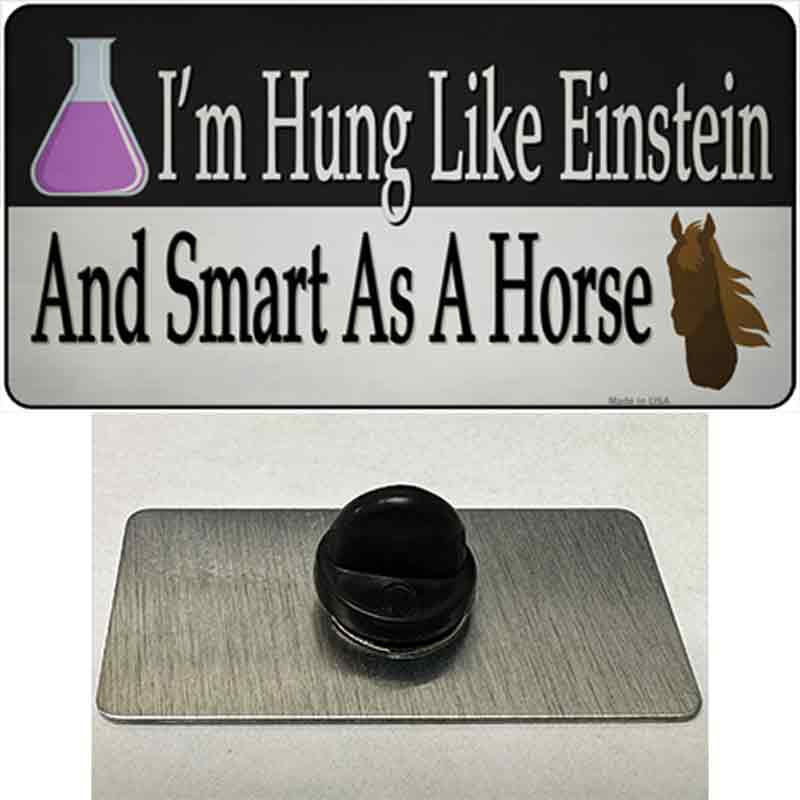 PIN-LP-13658 1.5 x 0.75 in. Hung Like Einstein Novelty Rectangle Metal Hat Pin Tag