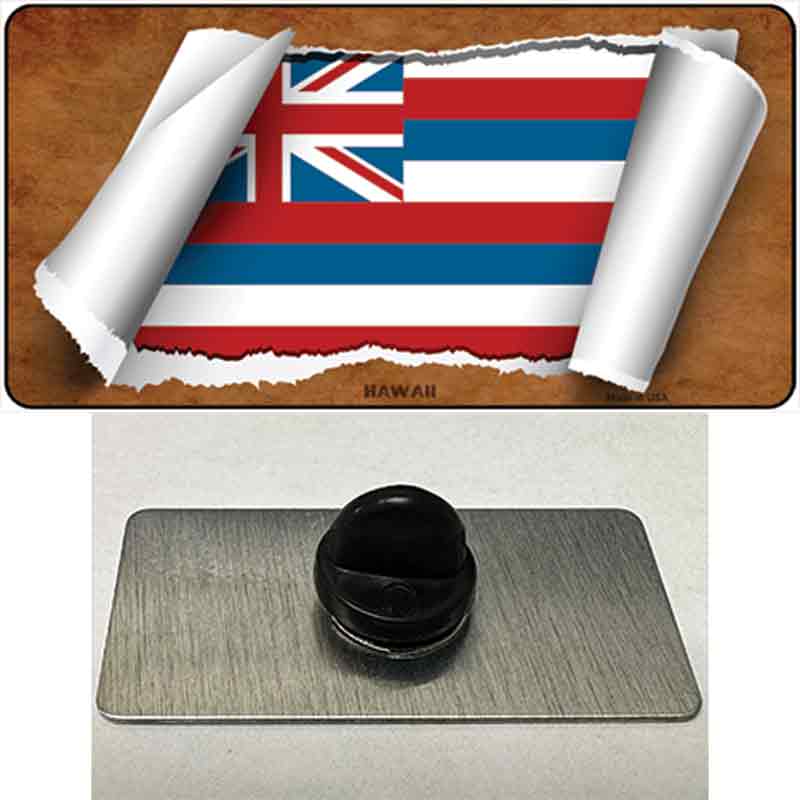 PIN-LP-9017 1.5 x 0.75 in. Hawaii Flag Scroll Novelty Rectangle Metal Hat Pin