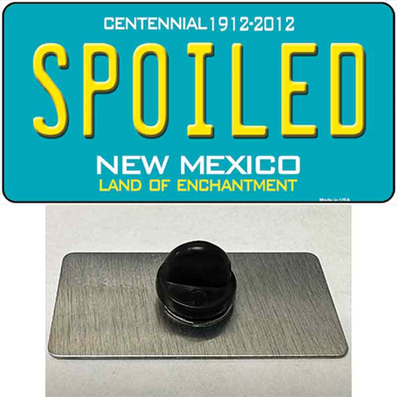 PIN-LP-6688 1.5 x 0.75 in. Spoiled Mexico Novelty Rectangle Metal Hat Pin
