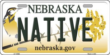 LP-10599 Native Nebraska Background Metal Novelty License Plate