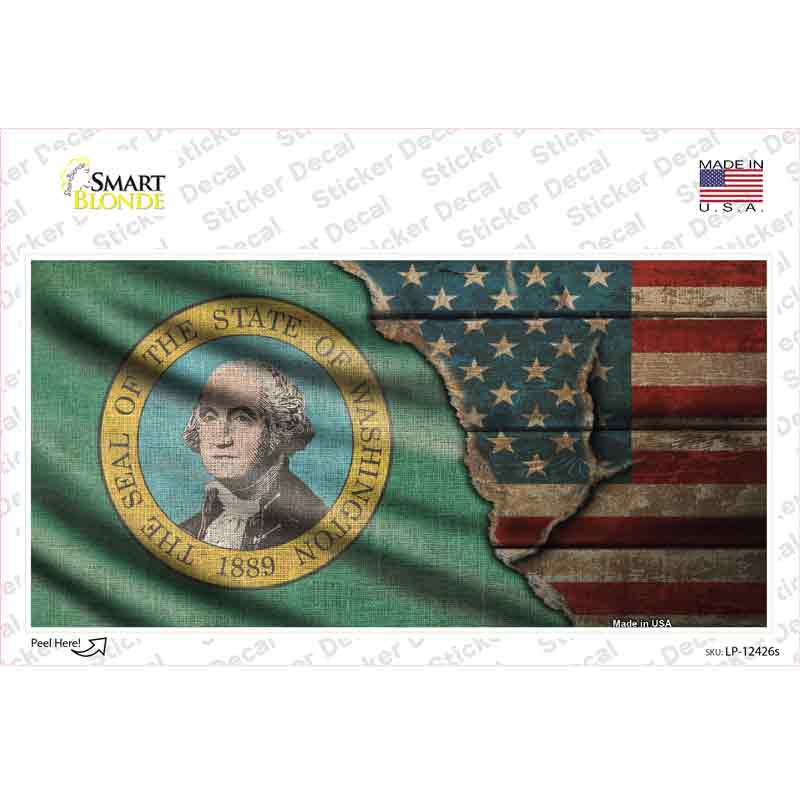 LP-12426s-M Washington & American Flag Novelty Sticker Decal - Medium
