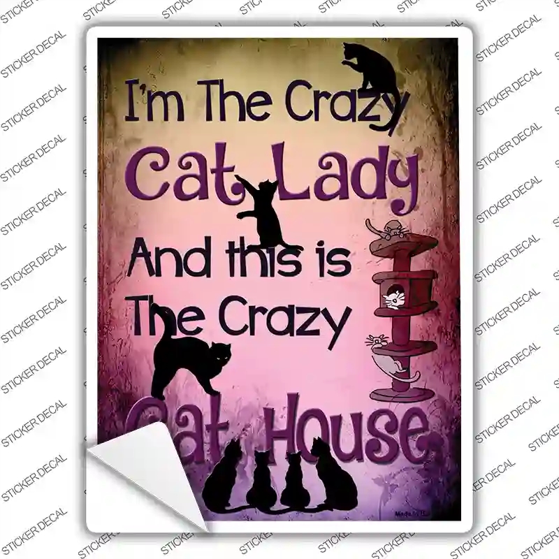P-1181s-S Crazy Cat Lady Novelty Rectangle Sticker Decal - Small