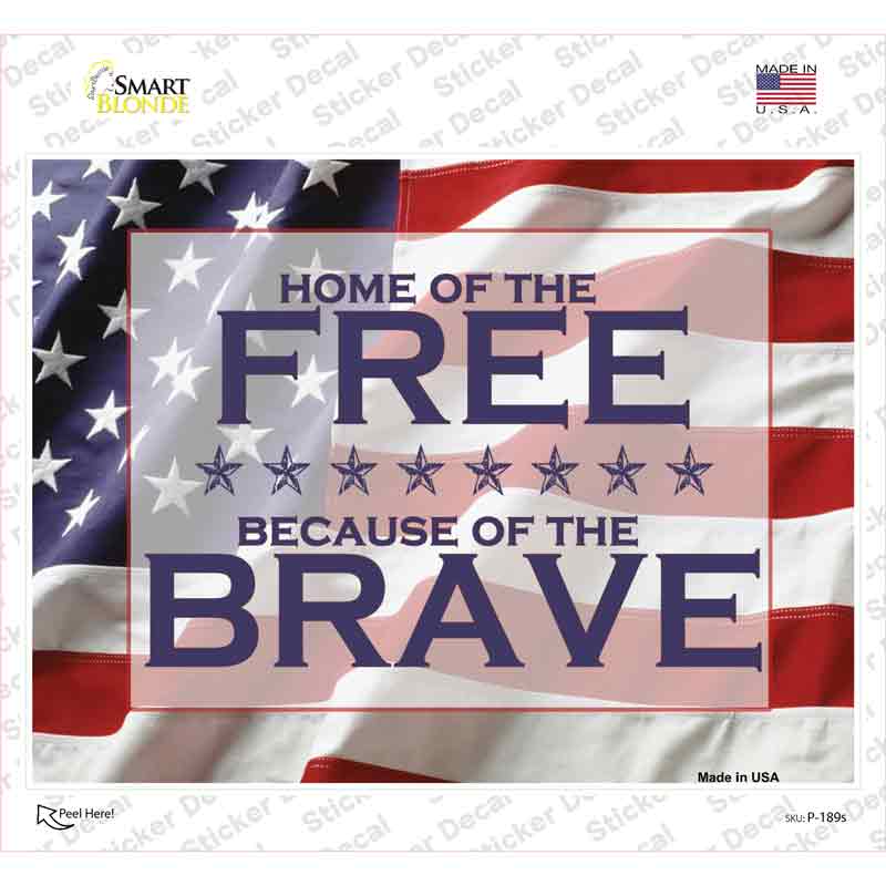 P-189s-M American Flag Free Brave Novelty Rectangle Sticker Decal - Medium