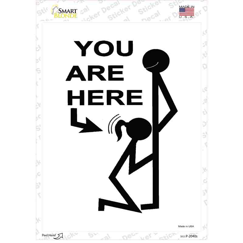 P-2040s-M You Are Here Novelty Rectangle Sticker Decal - Medium