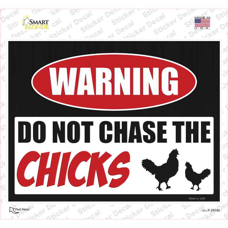 P-2918s-M Do Not Chase the Chicks Novelty Rectangle Sticker Decal - Medium