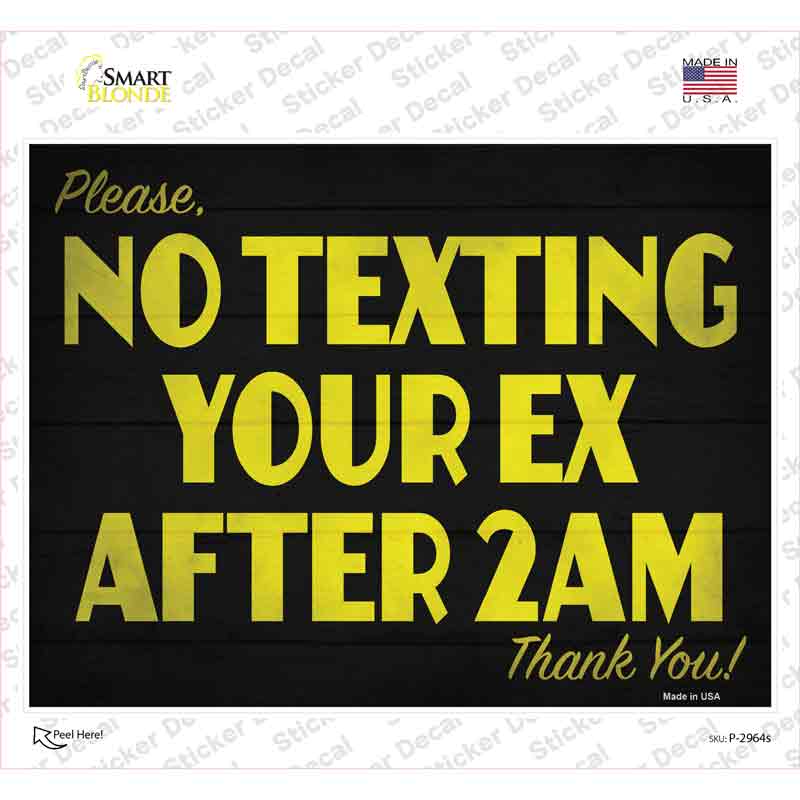 P-2964s-M No Texting Your Ex Novelty Rectangle Sticker Decal - Medium
