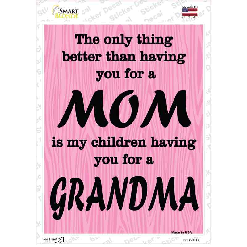 P-881s-M The Only Thing Better Then Mom Novelty Rectangle Sticker Decal - Medium