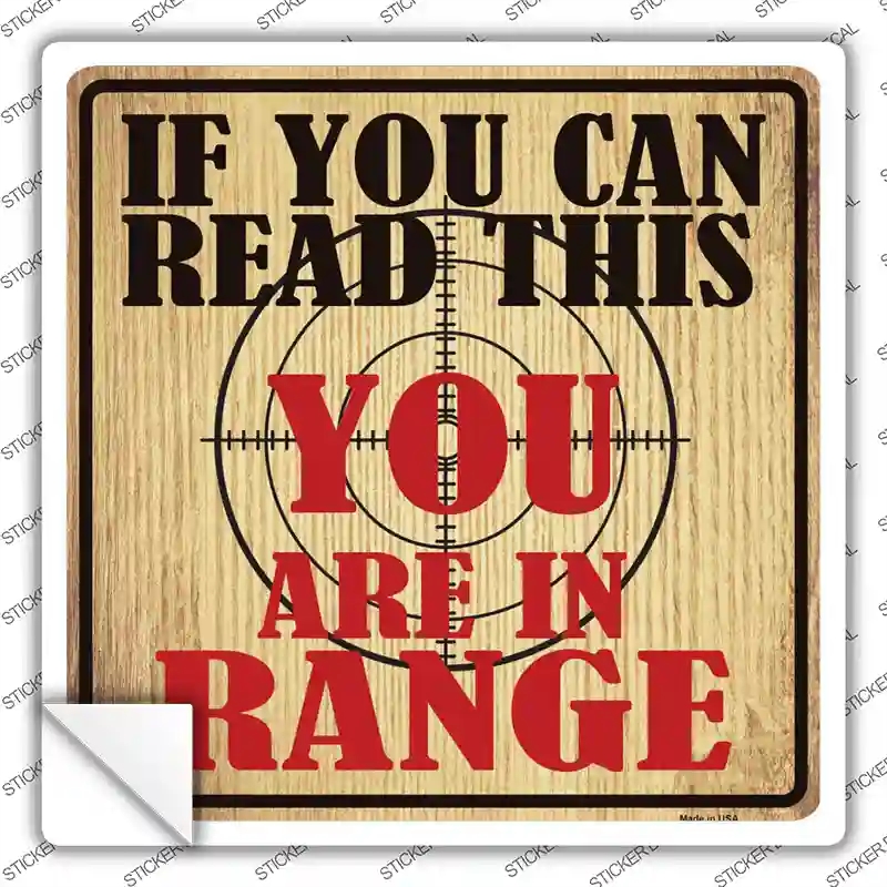 SQ-076s-L You Are in Range Novelty Square Sticker Decal - Large