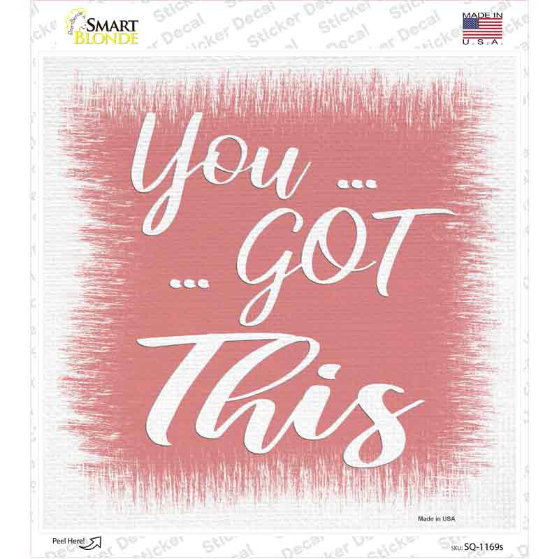 SQ-1169s-M You Got This Pink Novelty Square Sticker Decal - Medium