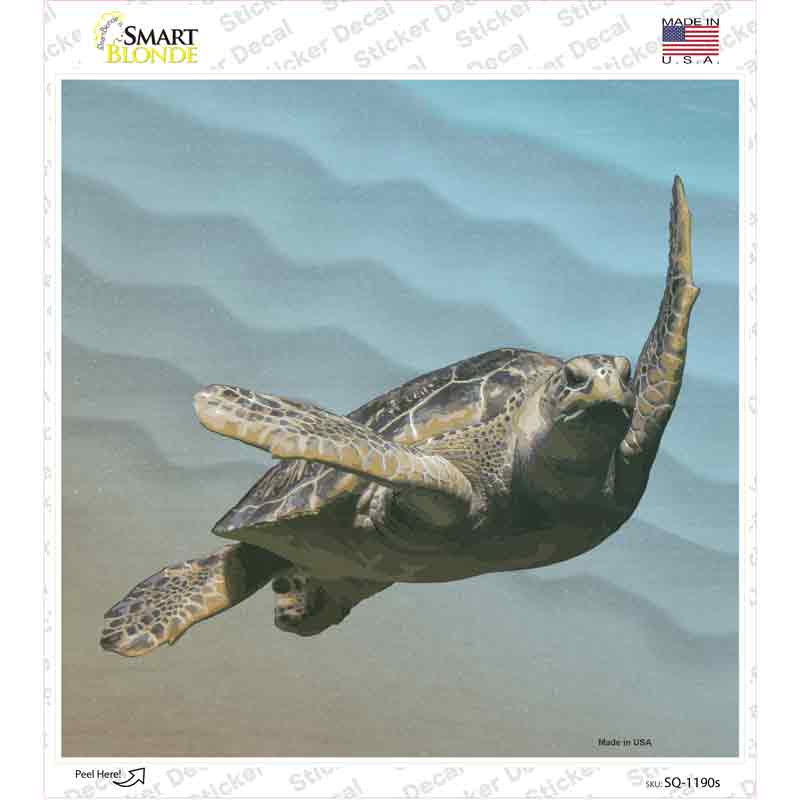 SQ-1190s-M Sea turtle Picture Novelty Square Sticker Decal - Medium