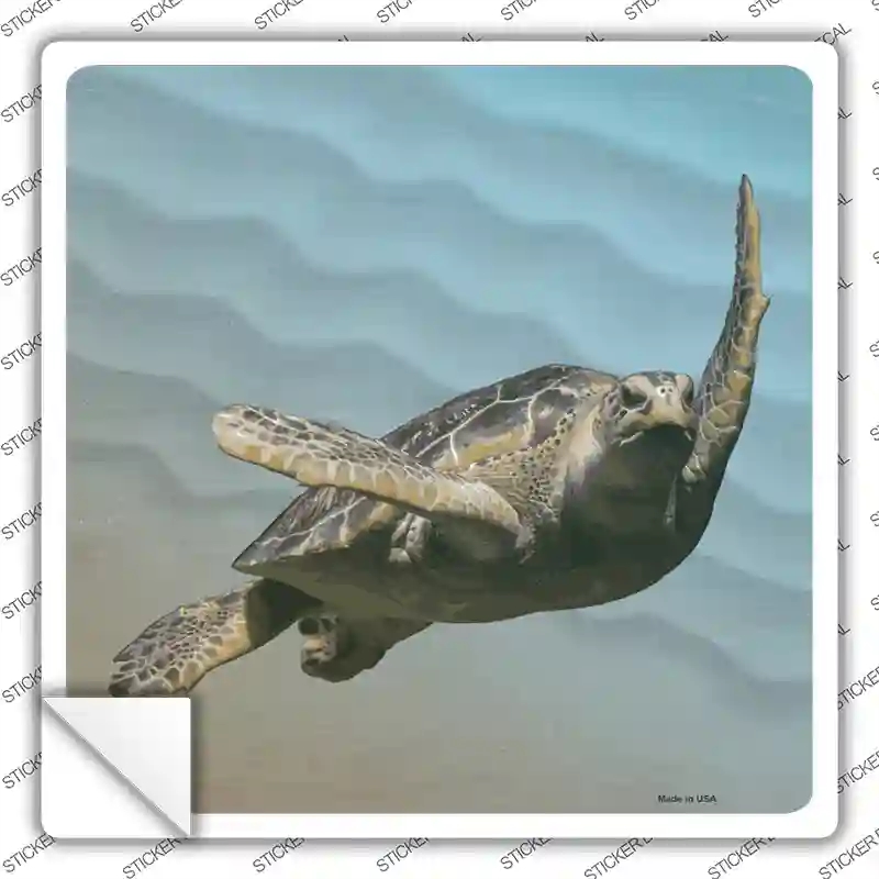 SQ-1190s-S Sea turtle Picture Novelty Square Sticker Decal - Small
