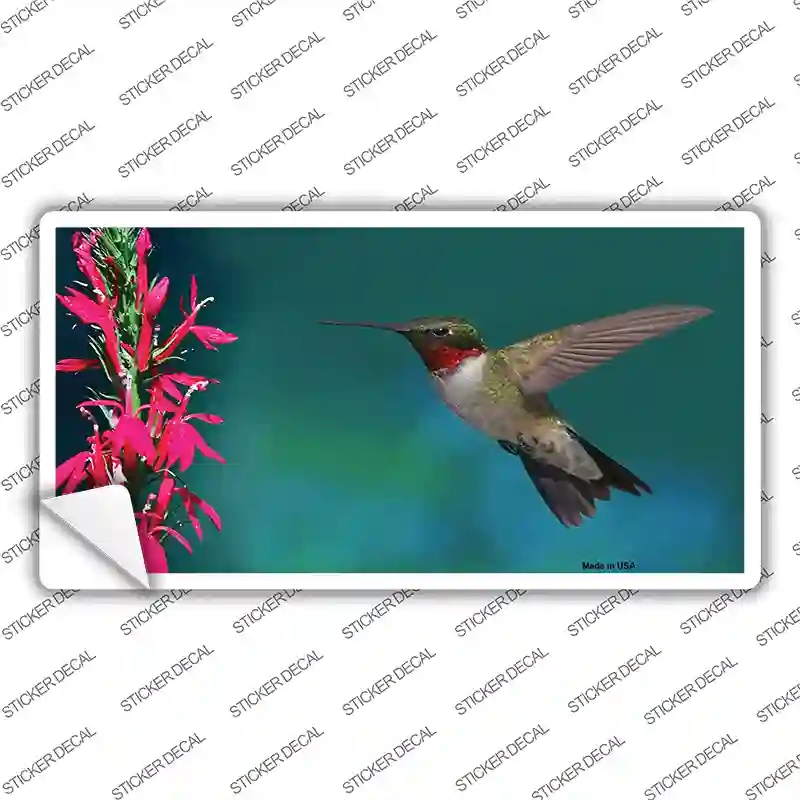 LP-1201s-L Humming Bird Novelty Sticker Decal - Large