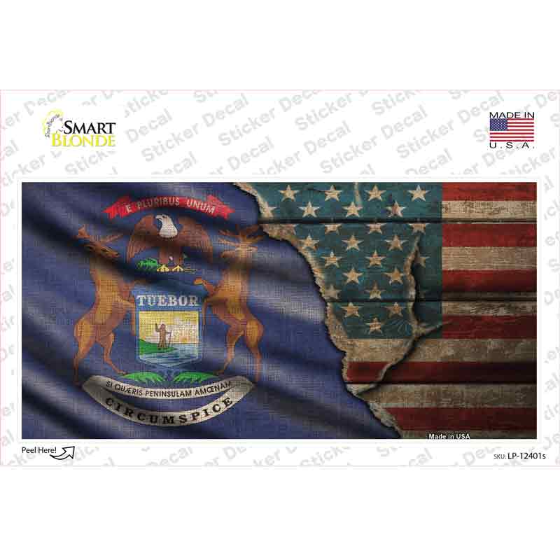 LP-12401s-M Michigan & American Flag Novelty Sticker Decal - Medium