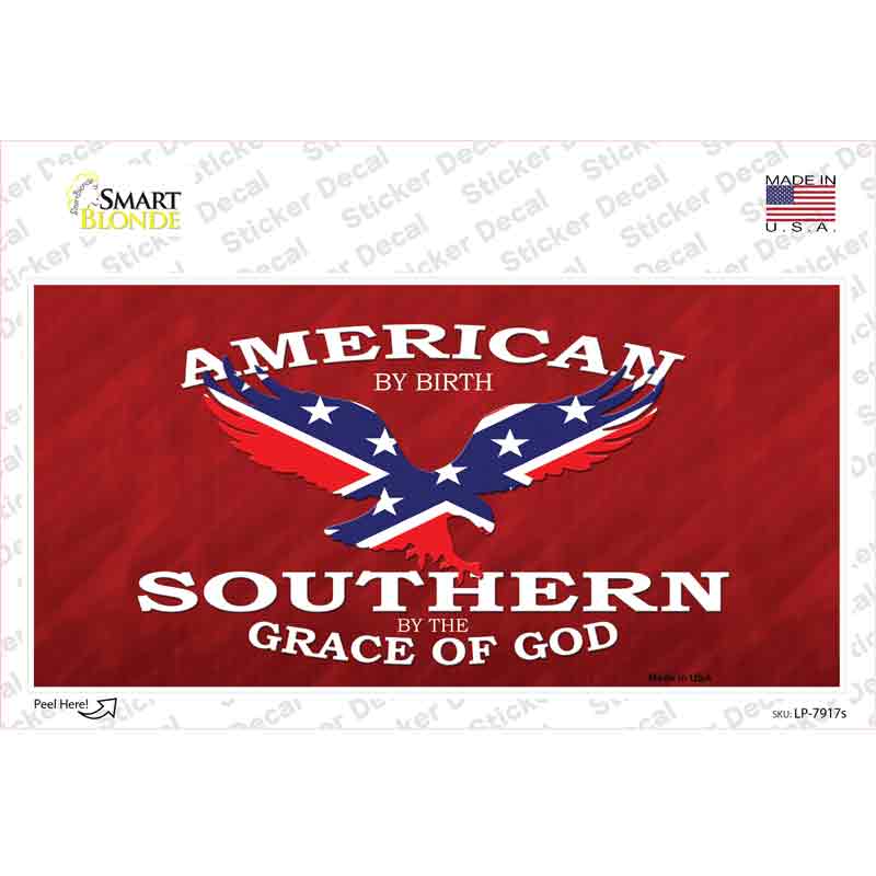 LP-7917s-M American by Birth Novelty Sticker Decal - Medium