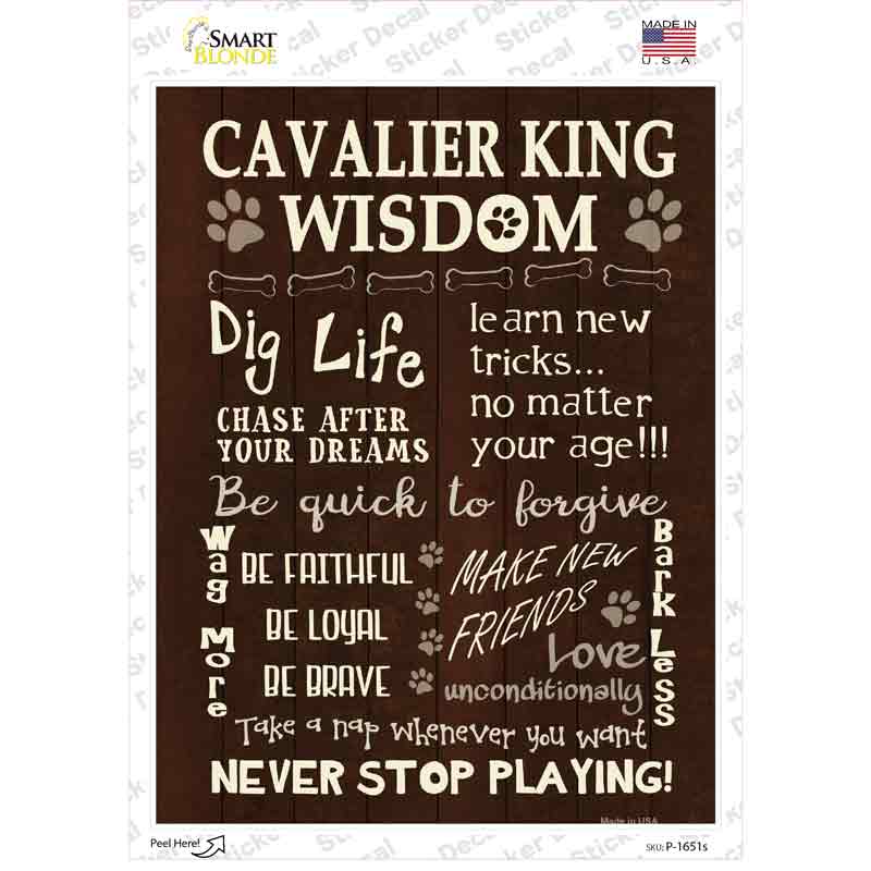 P-1651s-M Cavalier King Wisdom Novelty Rectangle Sticker Decal - Medium