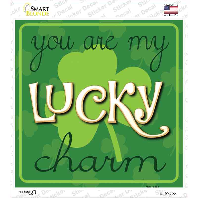SQ-299s-M You My Lucky Charm Novelty Square Sticker Decal - Medium