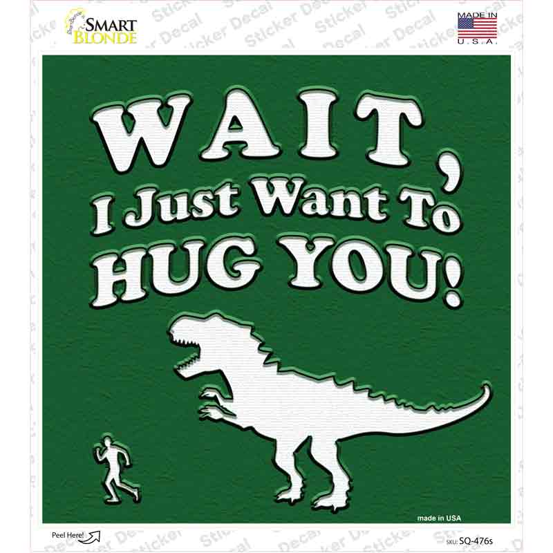 SQ-476s-M Just Want to Hug You Novelty Square Sticker Decal - Medium