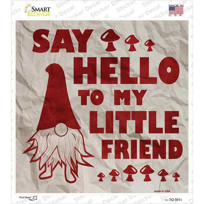SQ-561s-M Say Hello to Gnome Novelty Square Sticker Decal - Medium