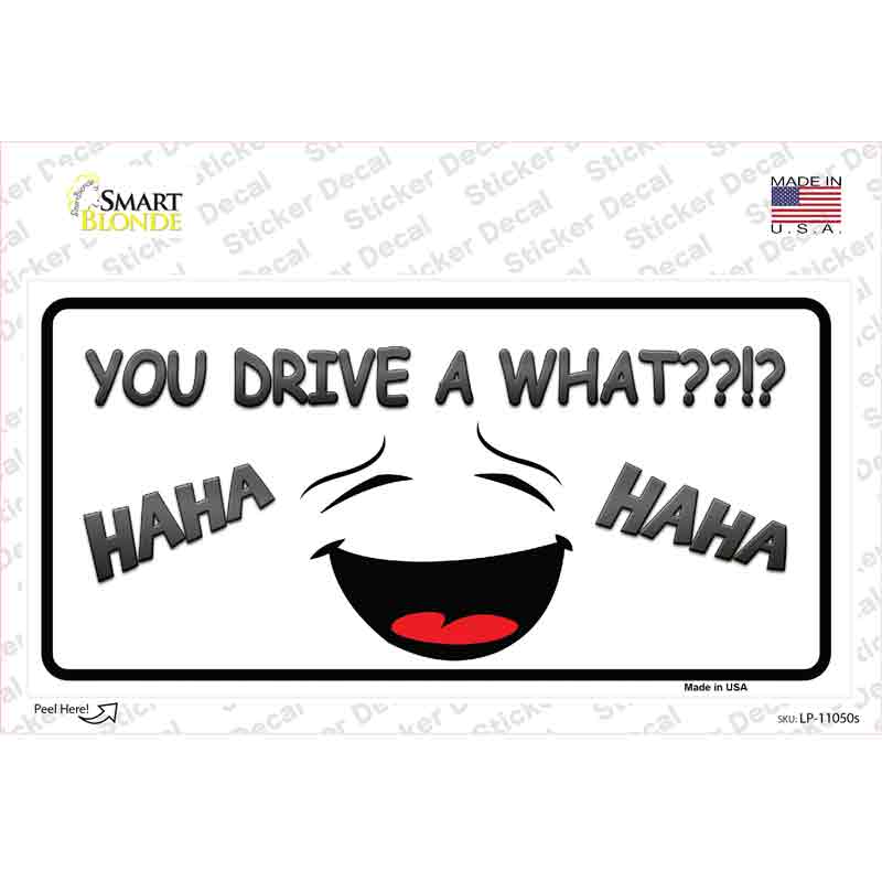 LP-11050s-M You Drive A What Novelty Sticker Decal - Medium