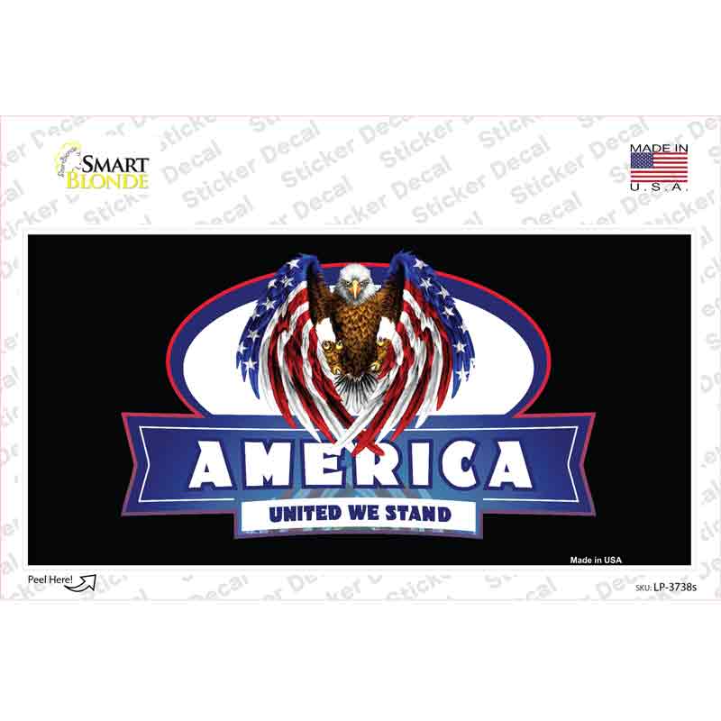 LP-3738s-M America United Novelty Sticker Decal - Medium