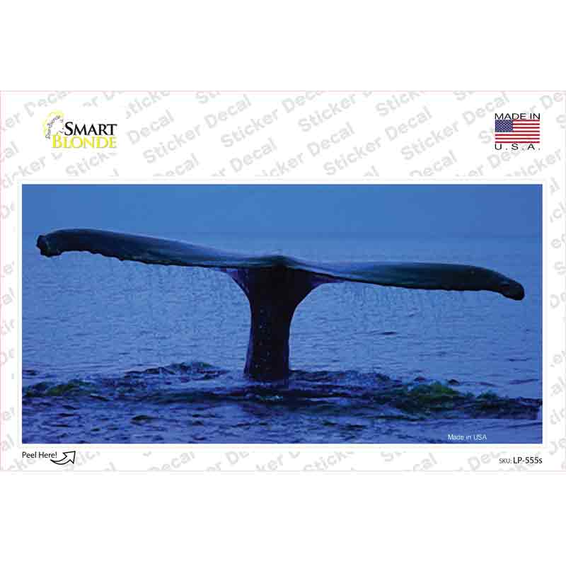 LP-555s-M Whale Tail Novelty Sticker Decal - Medium