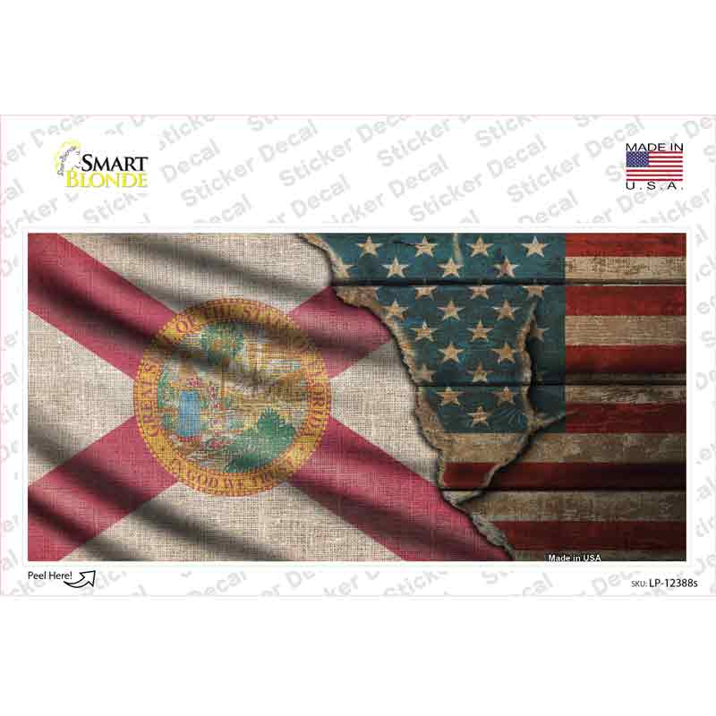 LP-12388s-M Florida & American Flag Novelty Sticker Decal - Medium