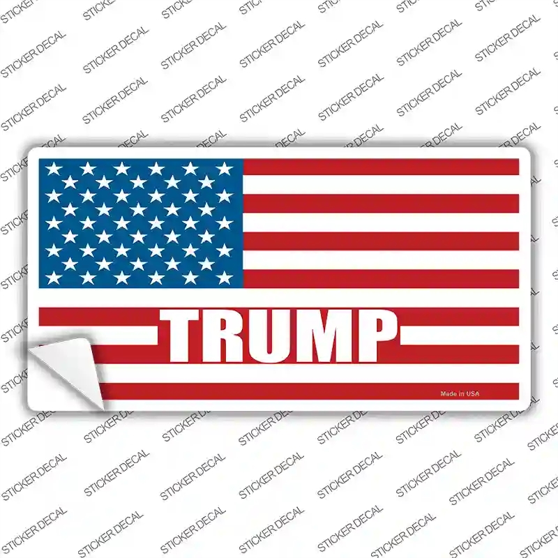 LP-12519s-L Trump American Flag Novelty Sticker Decal - Large