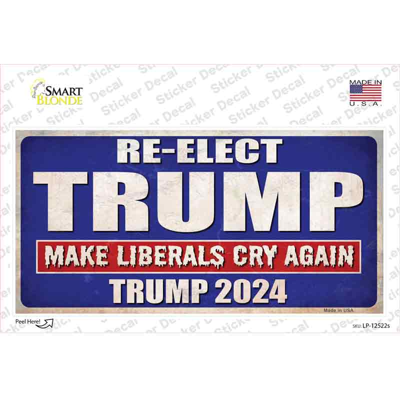 LP-12522s-M Re-Elect Trump Novelty Sticker Decal - Medium