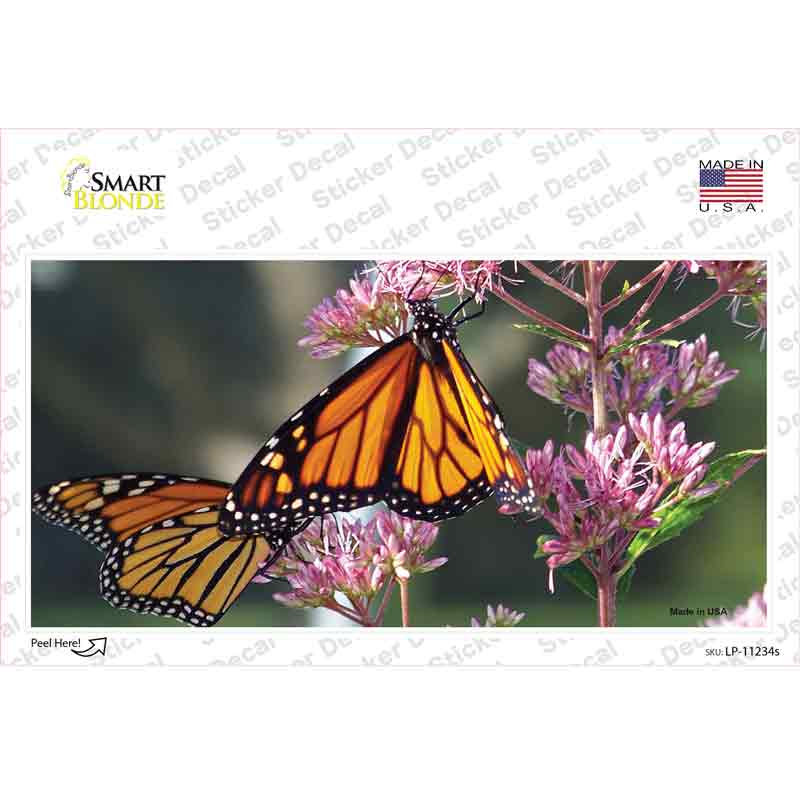 LP-11234s-M Butterfly Monarch on Flower Novelty Sticker Decal - Medium