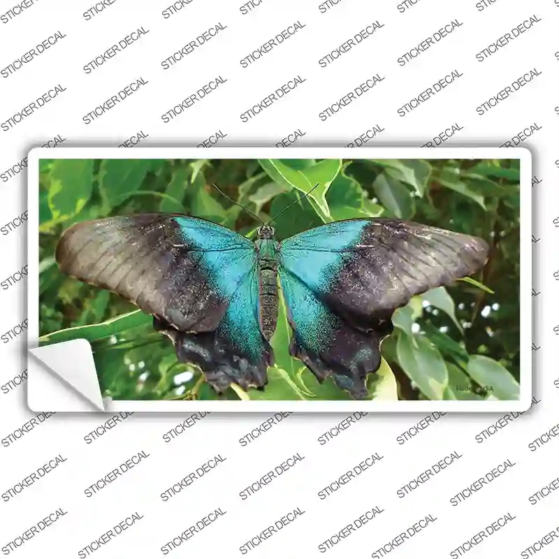 LP-11237s-XL Butterfly Blue & Black Novelty Sticker Decal - Extra Large