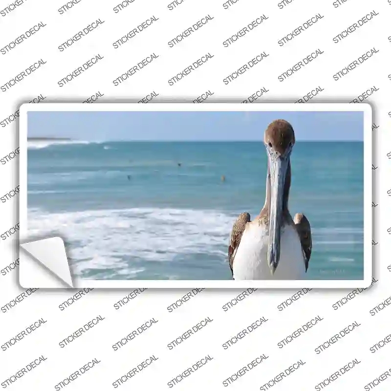 LP-11238s-XL Pelican Ocean Novelty Sticker Decal - Extra Large