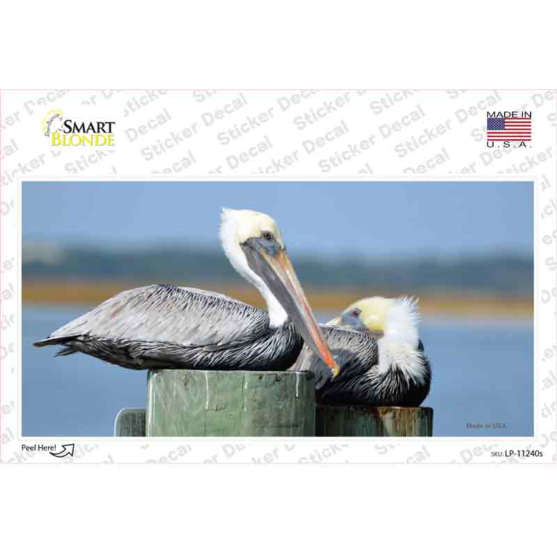 LP-11240s-M Pelican Two on Pier Novelty Sticker Decal - Medium