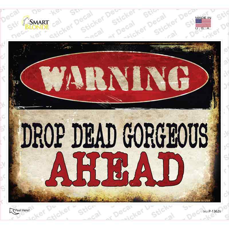 P-1362s-M Drop Dead Gorgeous Novelty Rectangle Sticker Decal - Medium