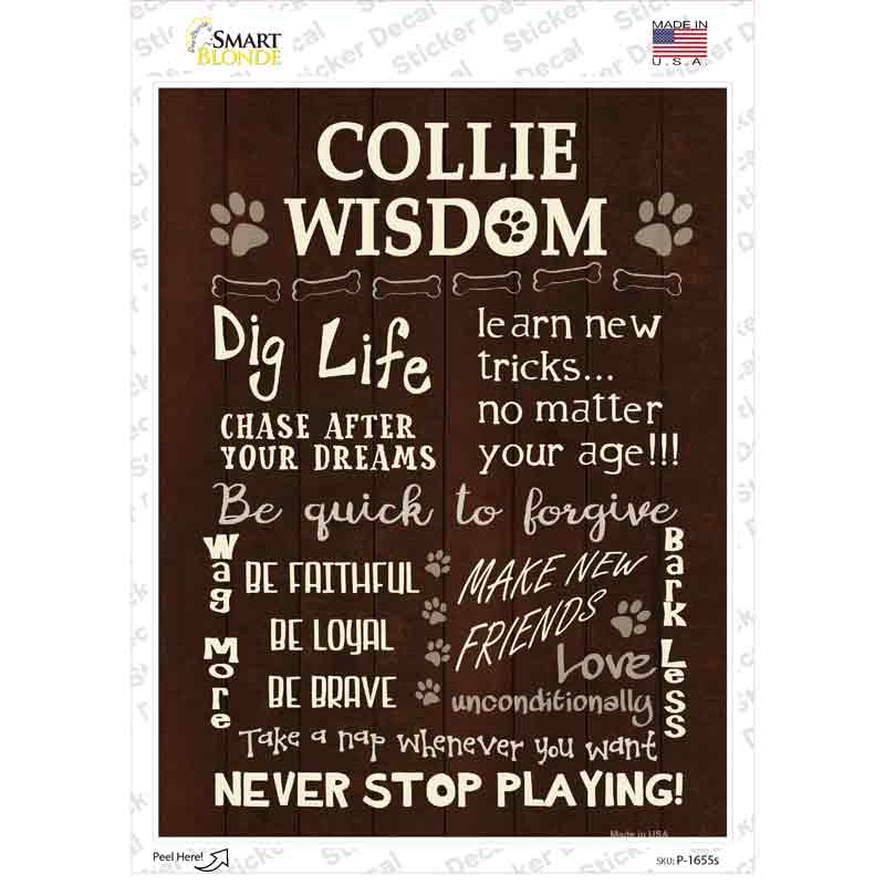 P-1655s-M Collie Wisdom Novelty Rectangle Sticker Decal - Medium