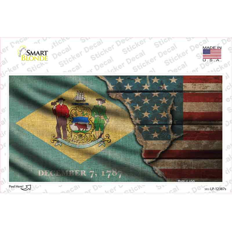 LP-12387s-M Delaware & American Flag Novelty Sticker Decal - Medium