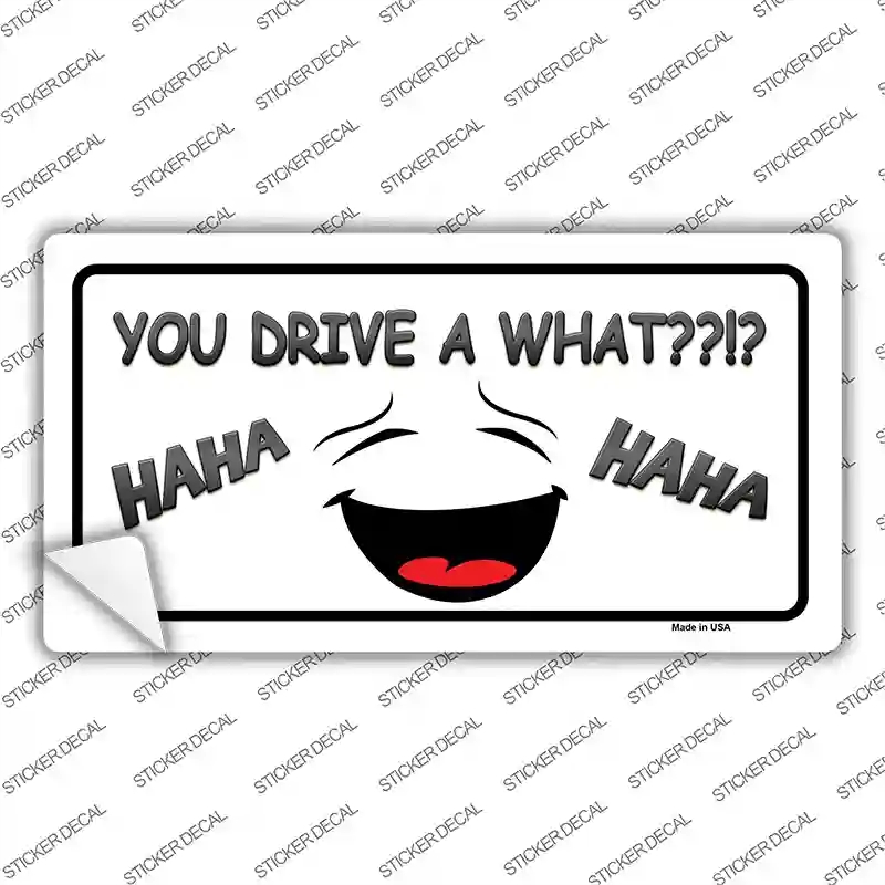 LP-11050s-S You Drive A What Novelty Sticker Decal - Small