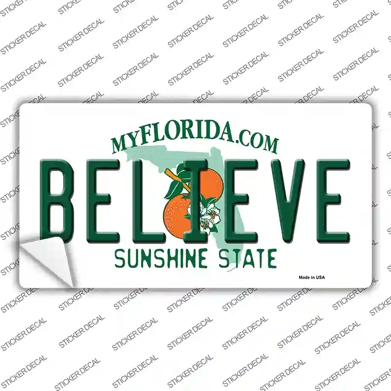 LP-6039s-L Believe Florida Novelty Sticker Decal - Large