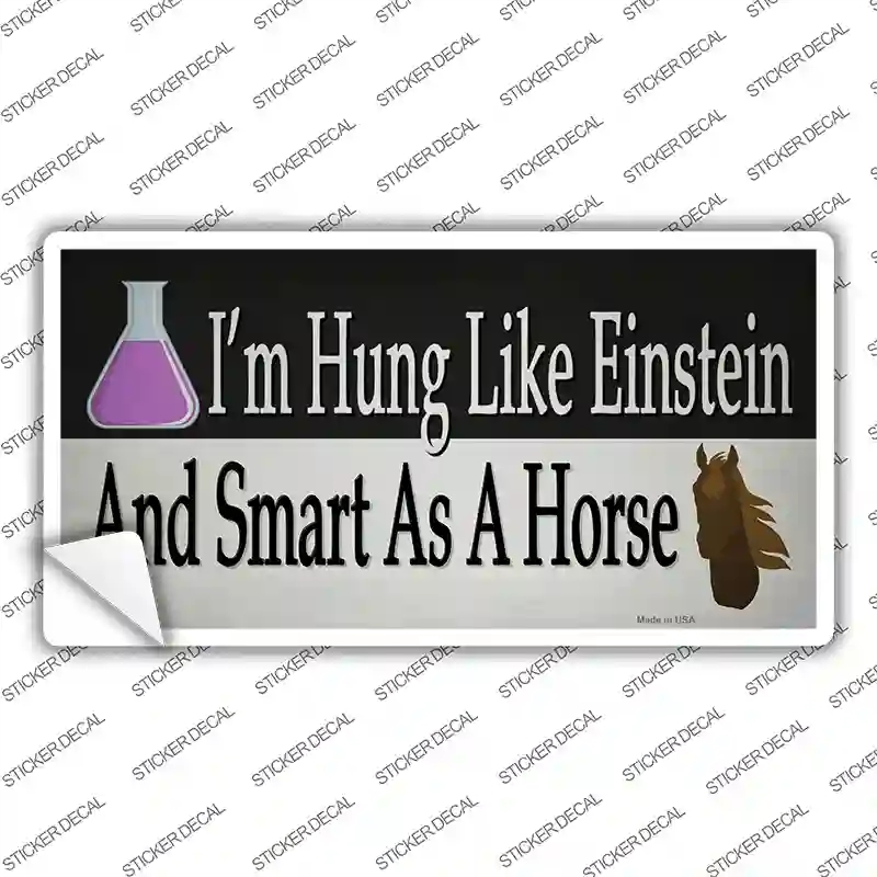 LP-13658s-S Hung Like Einstein Novelty Sticker Decal - Small