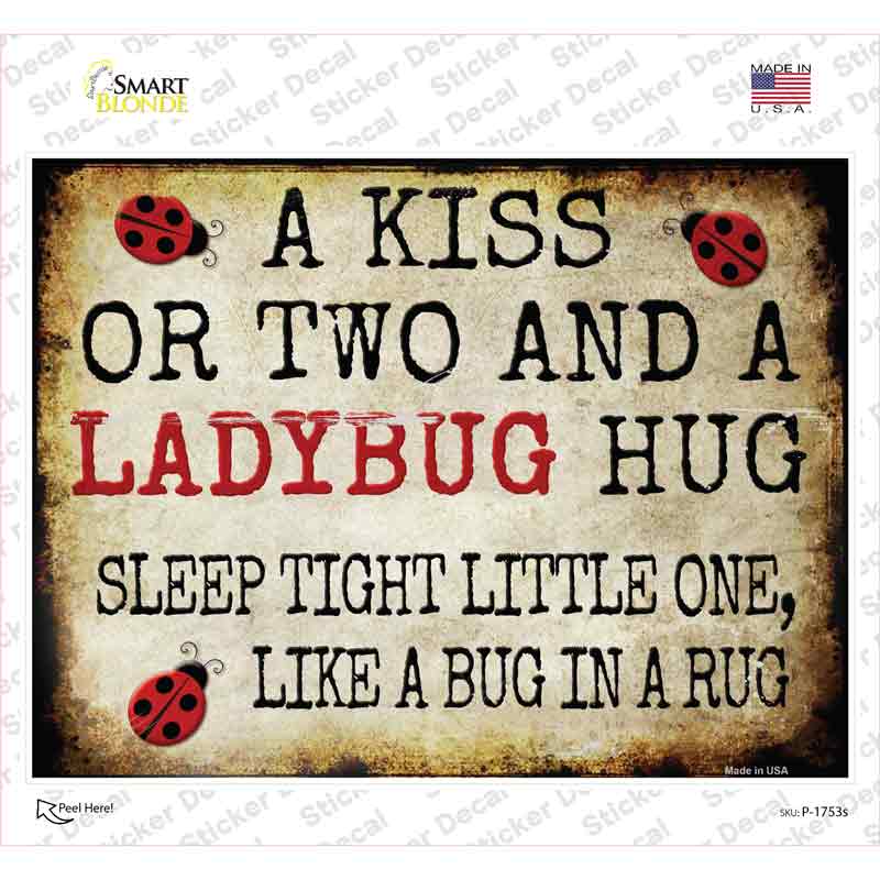 P-1753s-M A Kiss & A Ladybug Hug Novelty Rectangle Sticker Decal - Medium