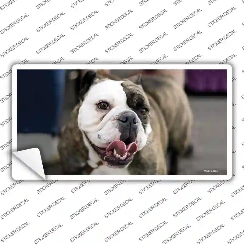 LP-2161s-S Bulldog Dog Novelty Sticker Decal - Small