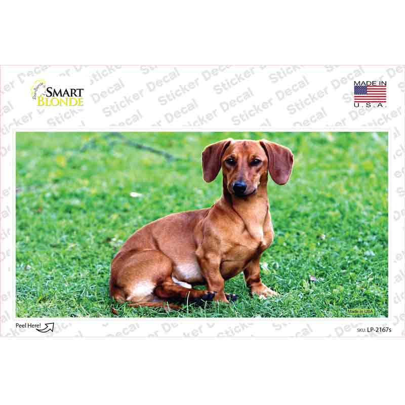 LP-2167s-M Dachshund Dog Novelty Sticker Decal - Medium