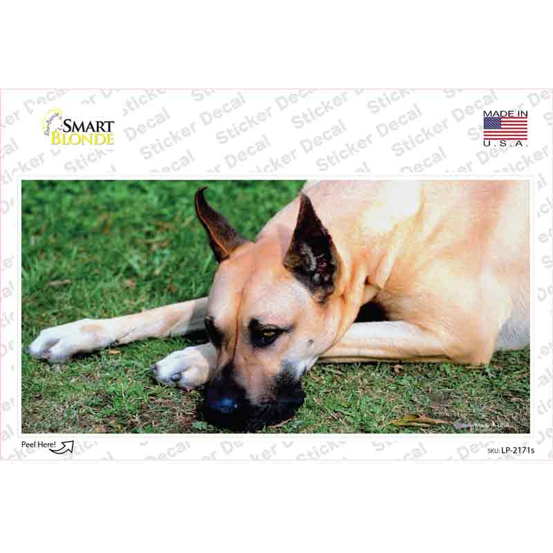 LP-2171s-M Great Dane Dog Novelty Sticker Decal - Medium