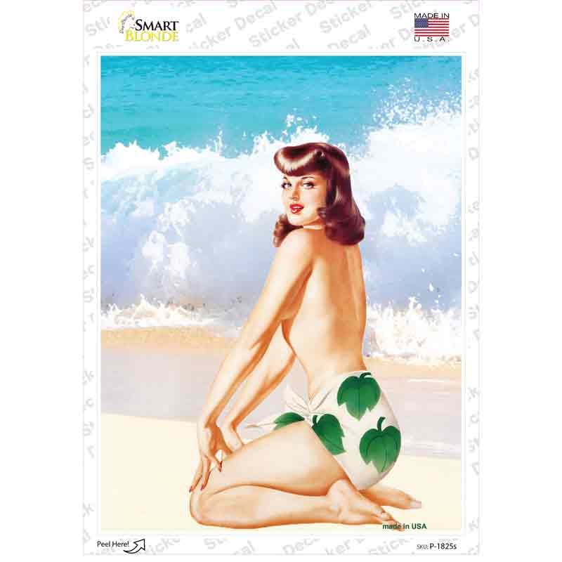 P-1825s-M Girl on Beach Vintage Pinup Novelty Rectangle Sticker Decal - Medium