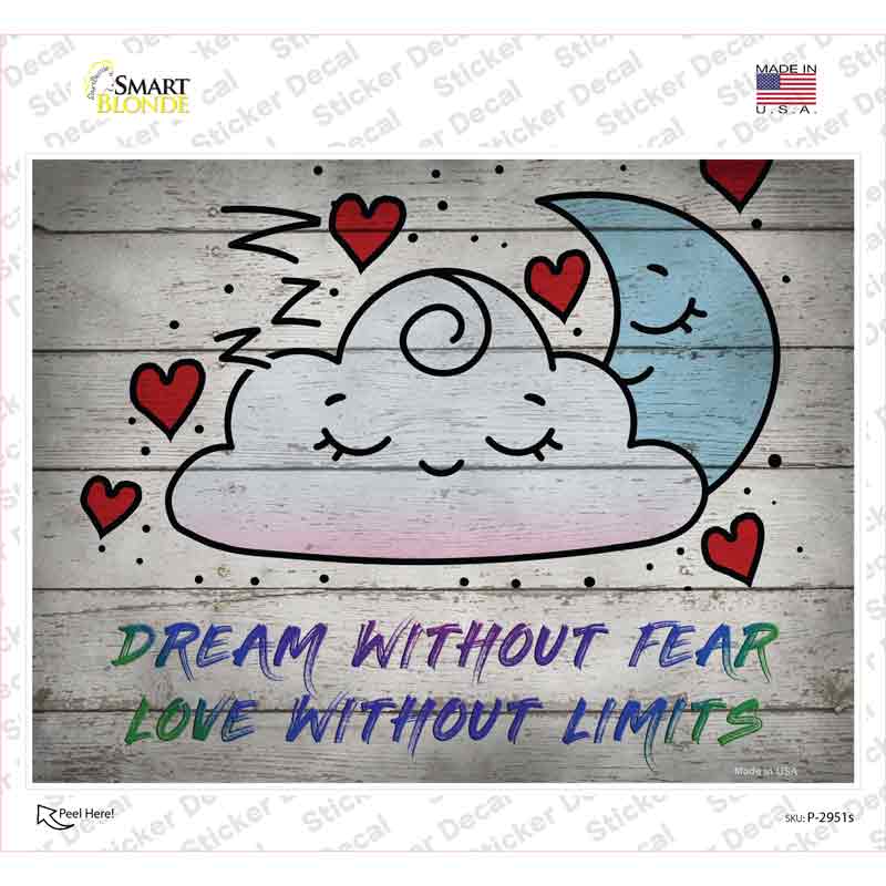 P-2951s-M Dream Without Fear Novelty Rectangle Sticker Decal - Medium